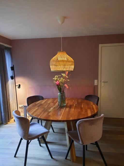 Villa 4-6 Persoons Vakantiewoning Met Eigen Tuin à Bakkeveen Extérieur photo